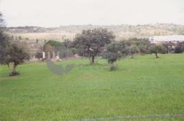 Quinta do Camões