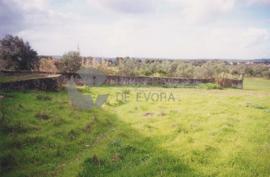 Quinta do Camões